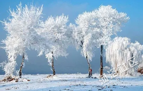 2024年吉林冬天中到大雪最低温度是多少3